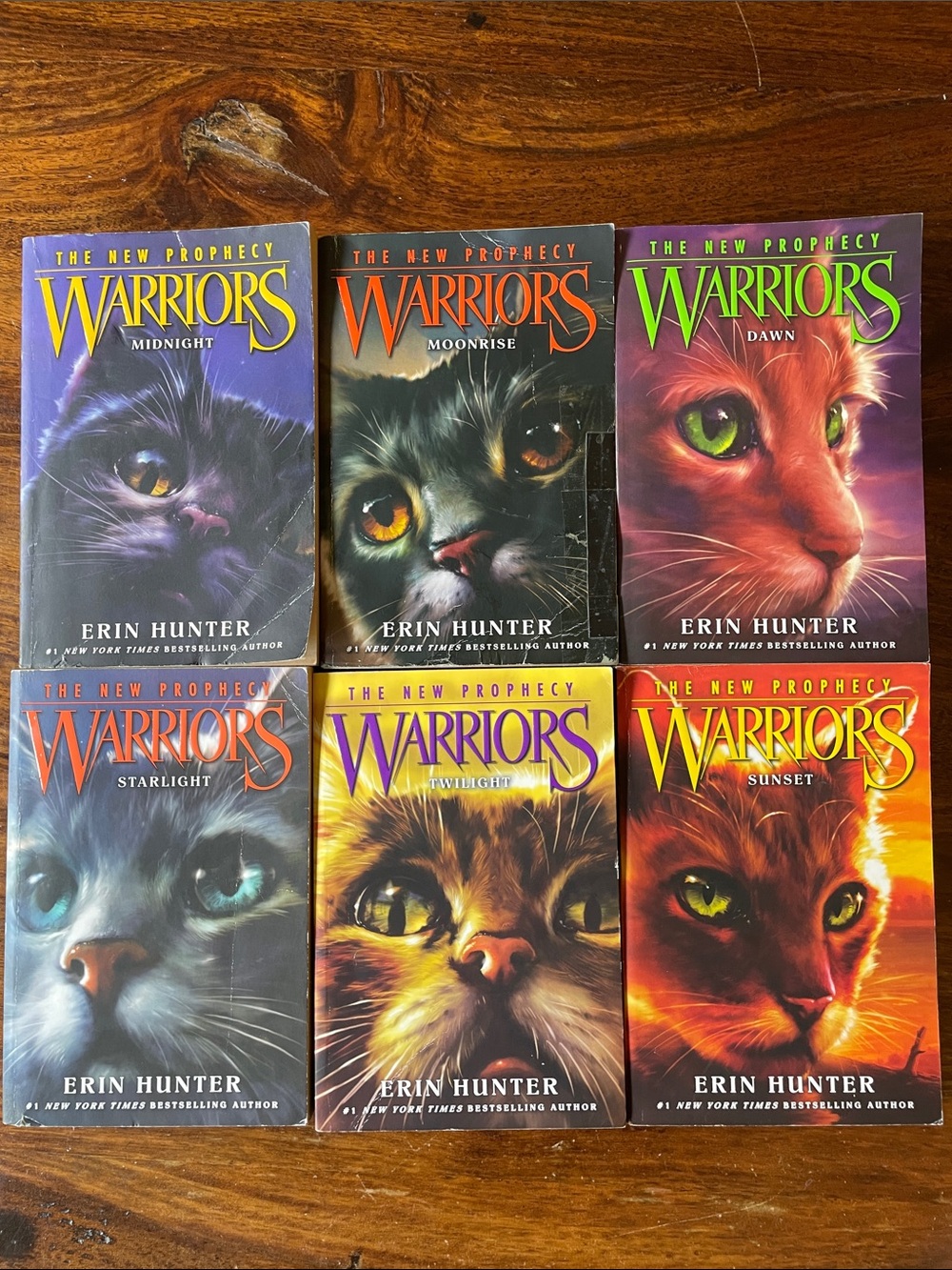 6 Warriors Cats The New Prophecy by Erin Hunter Book Series Complete Set Warrior